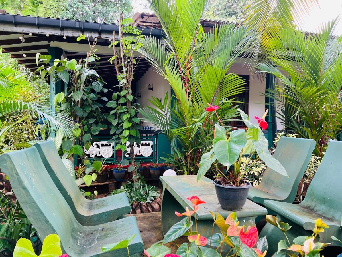 Sigiri Budget Homestay Сигирия Экстерьер фото